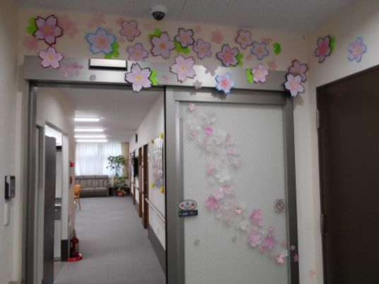 廊下の桜飾り