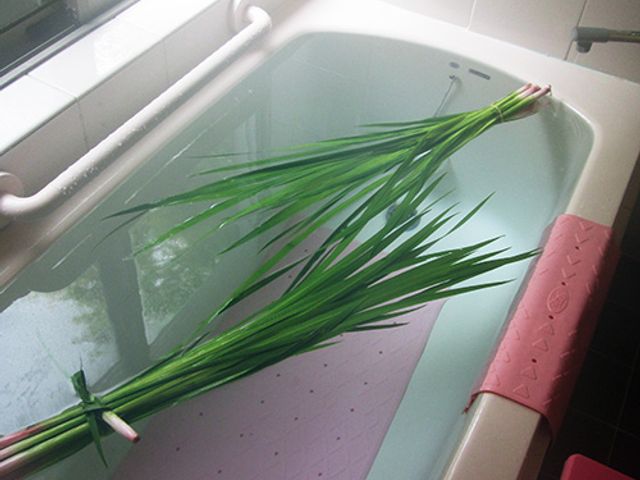 菖蒲と湯の浴室 浴室 浴槽に菖蒲が浮かぶ空間です。季節の風情を楽しむ工夫がされています。