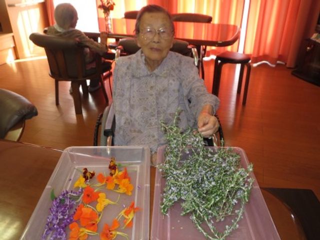 車椅子の高齢女性と花 レクリエーション３ 明るい室内で、高齢の女性が車椅子に座り、生け花の準備をしています。様々な活動が楽しめる空間です。