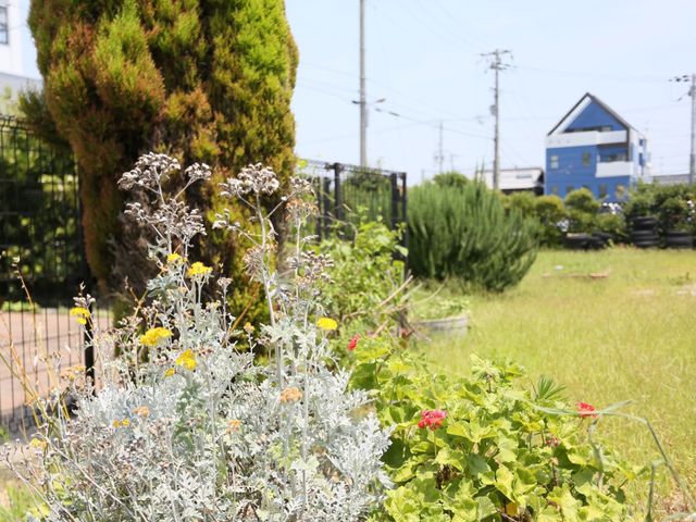 中庭の緑と花 庭 四季折々の花々が彩る中庭です。屋外での憩いのひとときを楽しんでいただける環境が整っています。