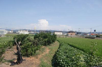 自然に囲まれた庭