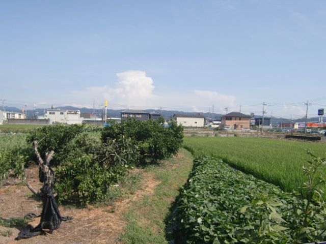 自然に囲まれた庭 庭 広々とした緑豊かな庭は、リラックスできる空間を提供しています。自然と触れ合うことで心が安らぎます。