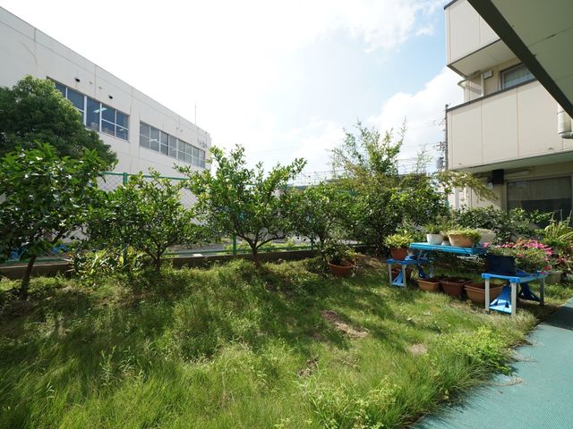 緑豊かな施設の中庭 庭園 施設の中庭は緑に囲まれ、四季折々の自然を身近に感じることができます。利用者様の心の安らぎにつながる空間です。