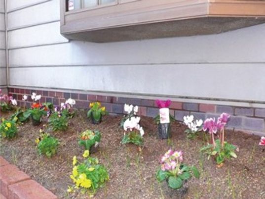 色とりどりの花が植えられた庭