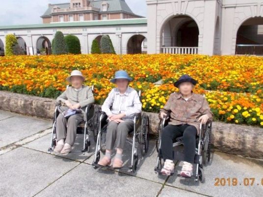 色とりどりの花が咲く庭