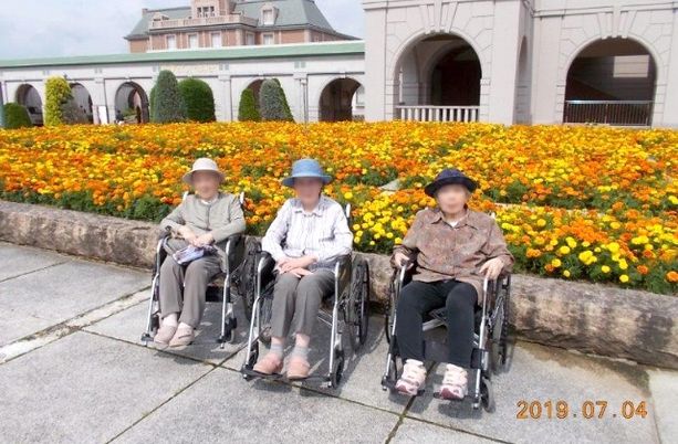 色とりどりの花が咲く庭