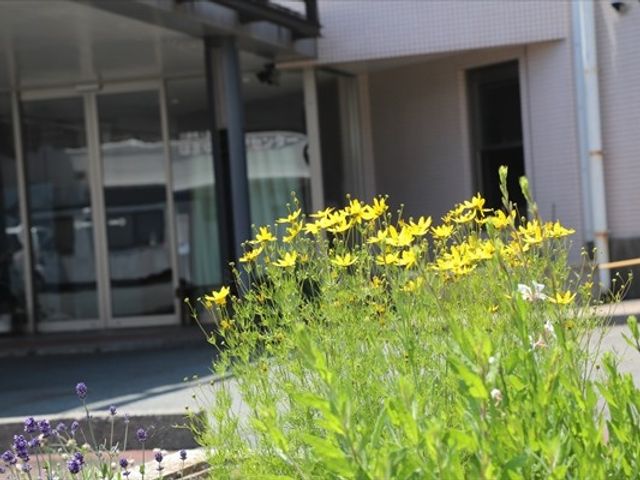 花壇のある玄関前 外観   玄関前に花壇があり、黄色い花が明るく映えています。建物の出入り口まわりが落ち着いた雰囲気です。