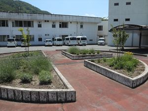 中庭の通路  