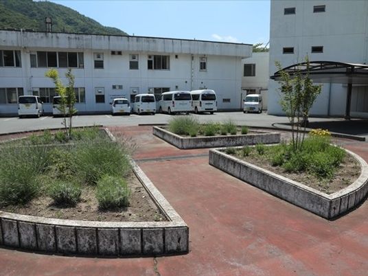 中庭の通路  