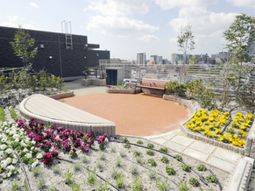 屋上庭園のある風景