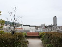都市を望む屋上庭園