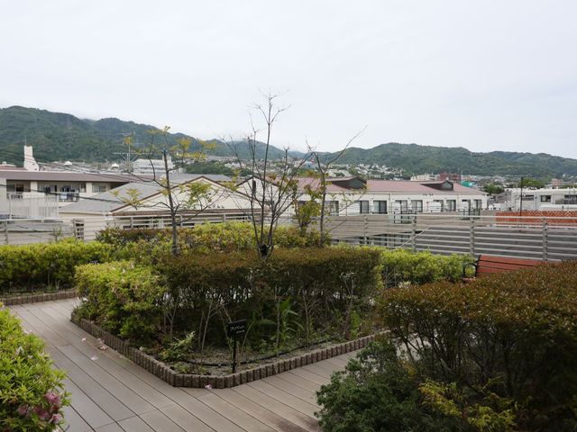 緑あふれる中庭景観 テラス 木々や季節の花々に囲まれ、四季を感じながらゆったりと過ごせる屋外の憩いのスペースです。