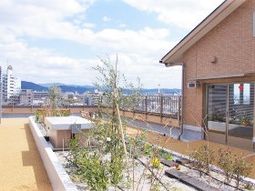 テラスの青空と緑