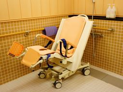 バリアフリーの浴槽椅子