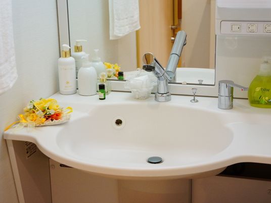 丸みを帯びた洗面ボウルは周りに小物を置くスペースがある。前面には大きな鏡が設置されており、左側にはタオル掛けがある。