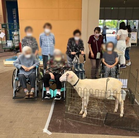 動物との触れ合いの場外観