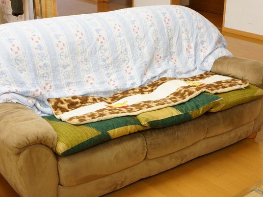 快適な居室のソファ