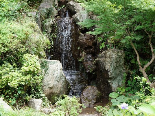 木や草に囲まれるようにして岩でできた滝が流れている。滝の下は小さな池になっており、滝の水はその池に溜まる。
