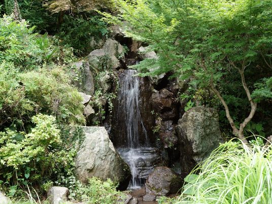 木々の真ん中には下に行くにつれて広がっていく岩々があり、その中央には滝が流れている。滝は3段構成になっている。