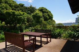 緑豊かな中庭のベンチ