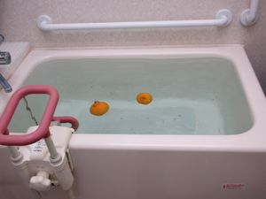 柑橘の浮く浴室