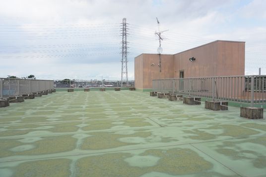 広々とした屋上空間