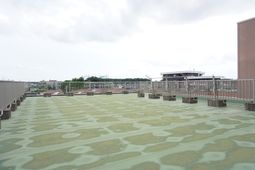 開放的な空間の中庭