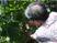 庭で植物に触れる人