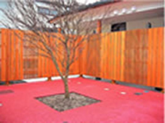 木が植えられた中庭