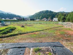 広々とした庭の風景