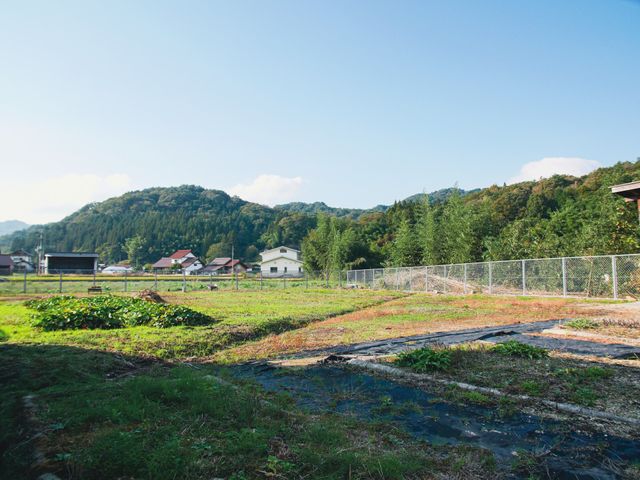 緑豊かな中庭 中庭 広々とした緑の中庭は、心地よい自然を感じながらの散歩や、静かな読書に最適です。