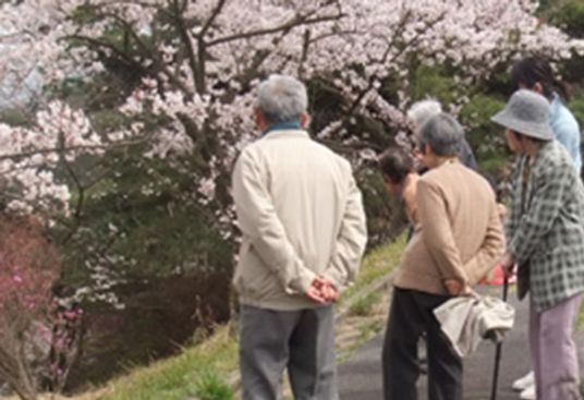 桜を観賞する人々