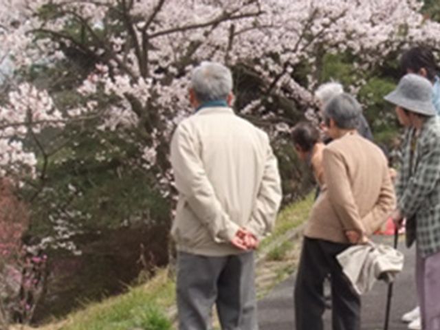 桜を観賞する人々 庭 桜の花を楽しむ姿です。自然を感じられる環境で、リラックスしながら働ける場所です。
