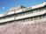 桜に囲まれた建物外観  