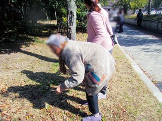 自然に囲まれた庭