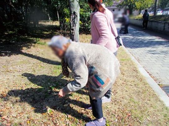 自然に囲まれた庭