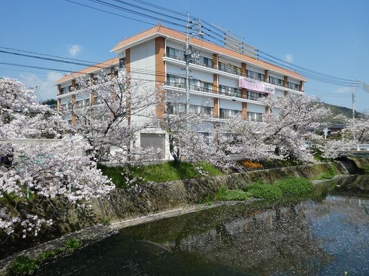 桜と建物の外観  