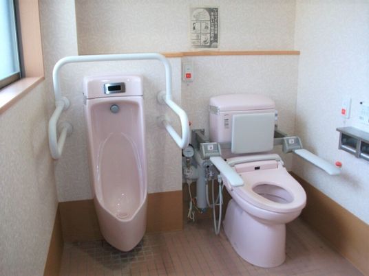 手すり付き清潔なトイレ
