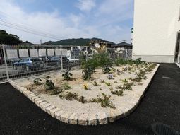 白壁の建物と小さな庭
