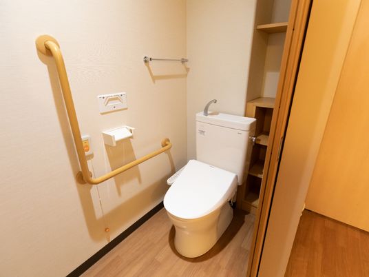 手すり付き清潔なトイレ