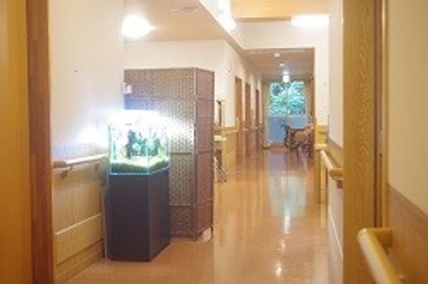 ナチュラルな廊下