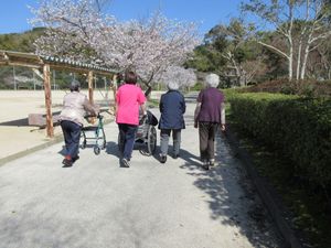 桜並木を歩く様子