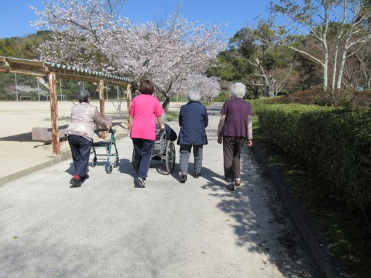 桜並木を歩く様子