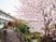 桜咲く庭園の外観  