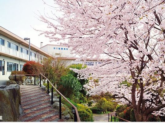 桜咲く庭園の外観  
