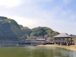 広々とした浴室