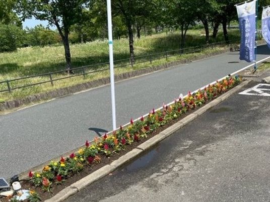 施設前の花壇と道路  