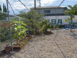 緑あふれる庭園風景