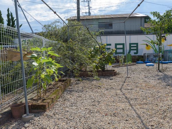 緑あふれる庭園風景