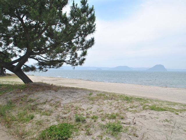 ゆったりとした海辺の景色 庭 静かな海辺に面した開放的な空間です。四季を通じて自然の風景をお楽しみいただけます。